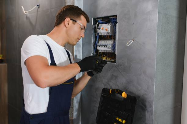 Best Electric Panel Repair  in Lincoln, AL